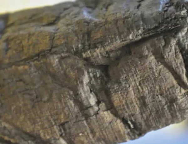Scientists digitally "unroll" ancient scroll scorched by Mount Vesuvius